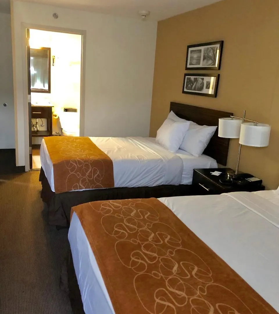Hotel The Vue Inn Brooklyn New York