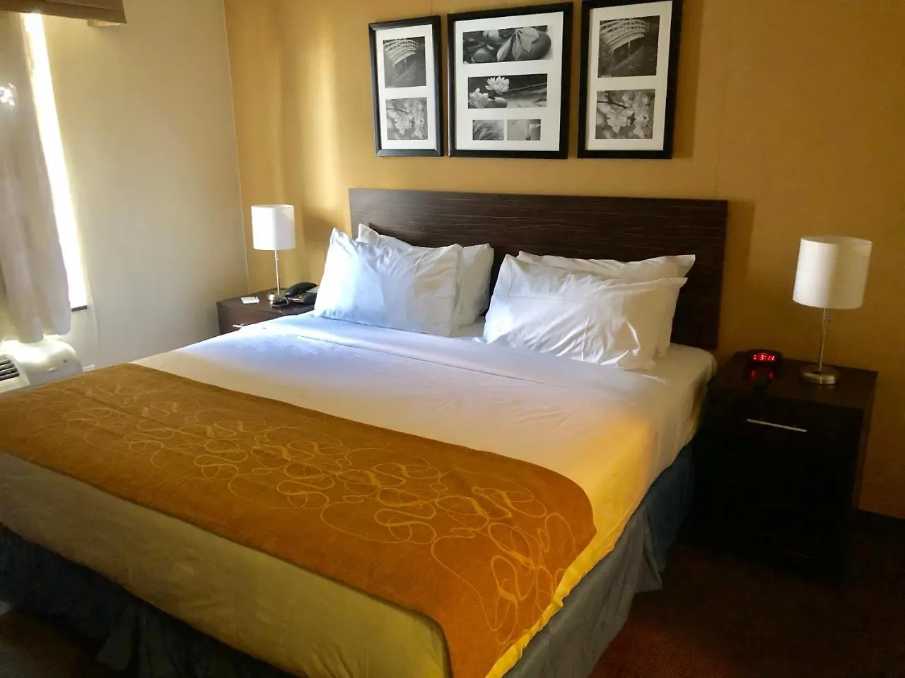 The Vue Inn Brooklyn New York Stati Uniti